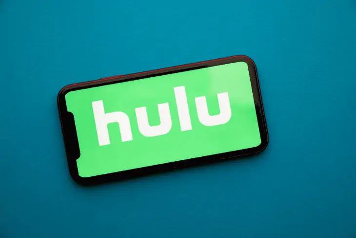 How to Get a Refund from Hulu? – Complete Guide 7 refund google billed hulu