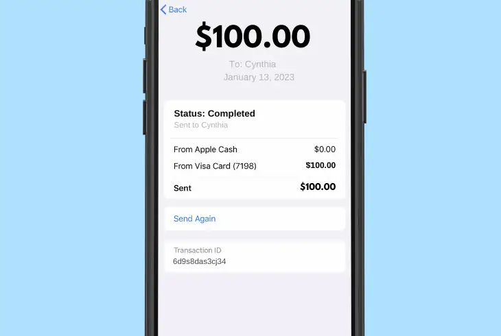 Did You Sent Apple Pay To Wrong Person? (Don't Worry!) 7 ask the recipient for a payment refund